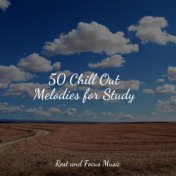 50 Chill Out Melodies for Study