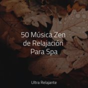 50 Música Zen de Relajación Para Spa