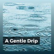 A Gentle Drip