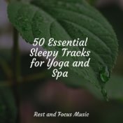 50 Essential Sleepy Tracks for Yoga and Spa