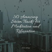 50 Amazing Storm Tracks for Meditation and Relaxation