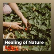 Healing of Nature