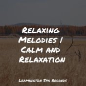 Relaxing Melodies | Calm and Relaxation