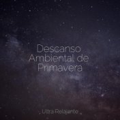 Descanso Ambiental de Primavera