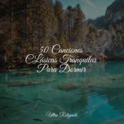 50 Canciones CLásicas Tranquilas Para Dormir