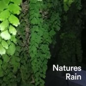 Natures Rain