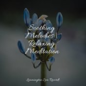 Soothing Melodies | Relaxing Meditation