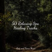 50 Relaxing Spa Healing Tracks