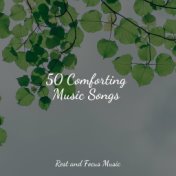 50 Comforting Music Songs