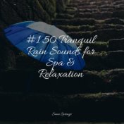 #1 50 Tranquil Rain Sounds for Spa & Relaxation