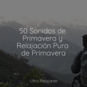 50 Sonidos de Primavera y Relajación Pura de Primavera