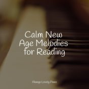 Calm New Age Melodies for Reading