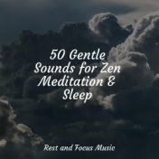 50 Gentle Sounds for Zen Meditation & Sleep