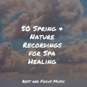 50 Spring & Nature Recordings for Spa Healing