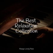 The Best Relaxation Collection