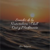 Sonidos de la Naturaleza | Chill Out y Meditación