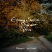 Calming Sounds | Sleep and Vibes