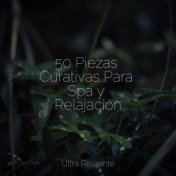 50 Piezas Curativas Para Spa y Relajación