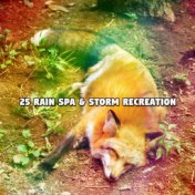 25 Rain Spa & Storm Recreation