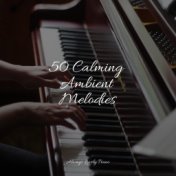 50 Calming Ambient Melodies