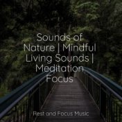 Sounds of Nature | Mindful Living Sounds | Meditation Focus