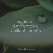 Sonidos Ambientales Chillout | Sueño