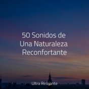 50 Sonidos de Una Naturaleza Reconfortante