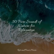 50 Pure Sounds of Nature for Relaxation