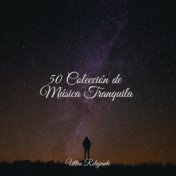 50 Colección de Música Tranquila