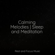 Calming Melodies | Sleep and Meditation