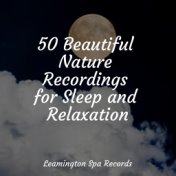 50 Beautiful Nature Recordings for Sleep and Relaxation