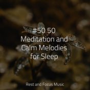 #50 50 Meditation and Calm Melodies for Sleep