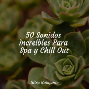 50 Sonidos Increíbles Para Spa y Chill Out