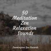50 Meditation Zen Relaxation Sounds