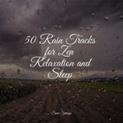 50 Rain Tracks for Zen Relaxation and Sleep