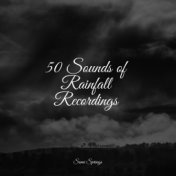 50 Sounds of Rainfall Recordings