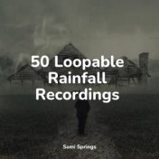 50 Loopable Rainfall Recordings