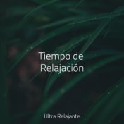 Tiempo de Relajación