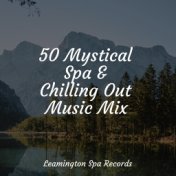 50 Mystical Spa & Chilling Out Music Mix