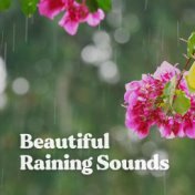 Beautiful Raining Sounds