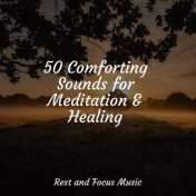 50 Comforting Sounds for Meditation & Healing