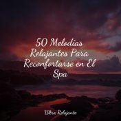 50 Melodías Relajantes Para Reconfortarse en El Spa