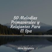 50 Melodías Primaverales y Relajantes Para El Spa