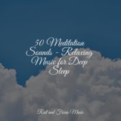 50 Meditation Sounds - Relaxing Music for Deep Sleep