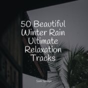 50 Beautiful Winter Rain Ultimate Relaxation Tracks