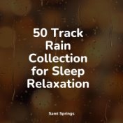 50 Track Rain Collection for Sleep Relaxation