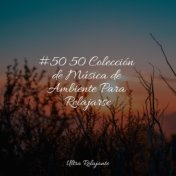 #50 50 Colección de Música de Ambiente Para Relajarse