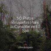 50 Pistas Relajantes Para la Curación en El Spa