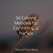 50 Calming Melodies for Comforting at the Spa