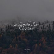 50 Loopable Rain Compilation